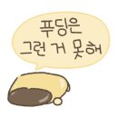 노배드바이브스