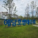 예산-49 | [예산 여행] 예당호 생태공원 산책 후 49년 전통 '할머니어죽' 오픈런 후기!