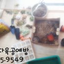봄다육아트