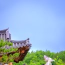 아랑별 | 대구,구미 돌촬영 추천스튜디오-아랑헌스튜디오