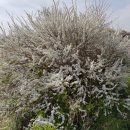 세종양봉백화점 이미지