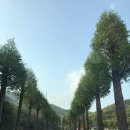 소율민박 | [여수 여행] 돌산 볼락 낚시 젖볼만 보고 왔어요