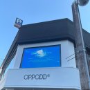 옵포드 | [부산/서면] 분위기 좋은 대형카페, 옵포드