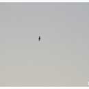 한산보건지소 이미지