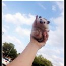 따봉PC방 이미지