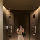 일본여행 한우물 파기. 네, 또 오사카 갔다옴(5-7일차)