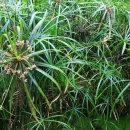 뮤지엄 산(페이퍼갤러리) 이미지