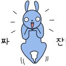 당산 신나무의 노래 이미지