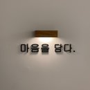 정성을담다 | [구미꽃집 마음을담다] 친척언니 생일 꽃선물~! 정성을 담은 후기~!