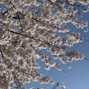 대흥전철역 4번출구 이미지