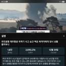 무안공항 참사 1년 &#34;처벌 0명&#34; 179명 숨짐 20251210 중앙外 이미지