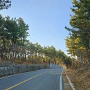 화진리 구진마을 앉은 줄다리기 이미지