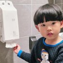 봉화여성 | 천연펄프 화장지 한손으로 뽑아쓰는 백만봉화장지 3개월 사용후기