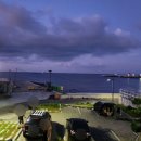 양지행정사 이미지