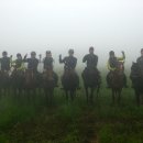 송당승마장 이미지