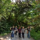 샬롬목장 이미지