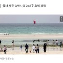 '같은 값이면 일본 간다' 유행하더니…제주도 줄폐업 '비상' 이미지