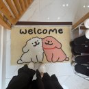 고양이 무마취미용 고미고미 화명점 이미지