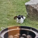 남해-240 | [남해] 나만 알고싶었던 미류펜션 1호 숙박 후기💕