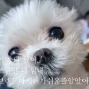 브랜딩이요..? 작고 여린 제가요..?😧