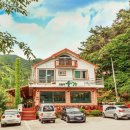 고둔치 솔가 이미지