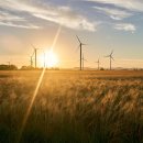 선진에너지 태양광발전소 이미지