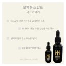모채움스칼프