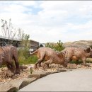 4.캐나다 렌터카여행-고대의 공룡 흔적을 만나러 가다, 알버타 로얄 티렐 박물관 이미지