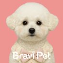 부산고양이분양 브라비펫 펫스테이션점 | 부산강아지분양, 부산고양이분양 고민 중이라면? 믿고 찾는 브라비펫 펫스테이션점 후기