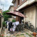 서  변 | 옥상 초대형파라솔 칠핑장에서 직접 써본 후기