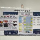 생금들친환경 영농조합법인 | [여수] 거문도 산다이 뮤직 페스티벌 섬 체험단 선정 체험후기 2탄