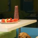 한비하우스 이미지