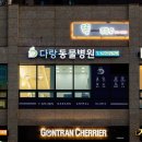 다랑 동물병원 네이버블로그