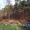 박달우체국_동 이미지