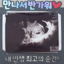 라온약국 | 아기집 보고 왔어요ㅣ임신5주 일상ㅣ임신초기 증상ㅣ먹덧+체덧, 오른쪽 아랫배통증ㅣ보건소 임산부 등록