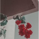 주식회사 오션 이미지