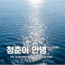 ＜유튜브＞ [MV] 미스터트롯3 TOP7 - 청춘아 안녕 (The Days of My Life) 이미지