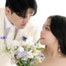 일일시호 이미지