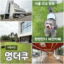 모담유치원 | 김포 운양동 <멍더쿠> 내돈내산 애견카페 애견운동장 애견호텔 애견유치원 N번째방문 추천 김포가볼만한곳