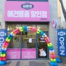 경북애견 이미지