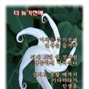 제주 서귀포 산방산 이미지