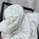 모란세탁 이미지