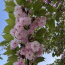 미사경정공원 이미지