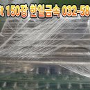 한일레포츠 이미지