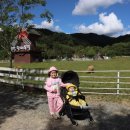 장인목장 | [아이랑 여행🧳] 아이랑 양평 여행 _ 양평 양떼목장 🐑