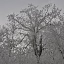 눈꽃여행 이미지