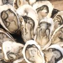 그냥포차 이미지