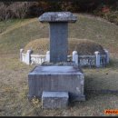 은산 홍윤성 묘 및 비 네이버블로그
