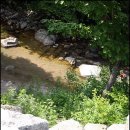 평창수림대펜션 이미지