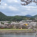 운문댐하류보4 이미지